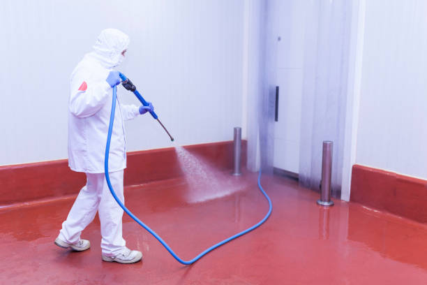 Best Roof Washing  in Sand Ridge, NY