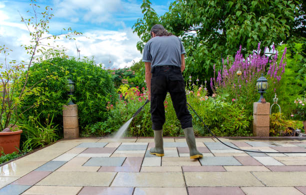 Best Driveway Pressure Washing  in Sand Ridge, NY